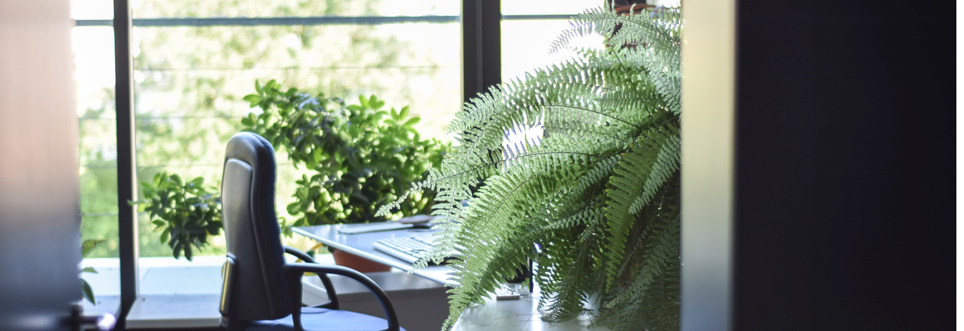 Fiscalité du propriétaire vendeur