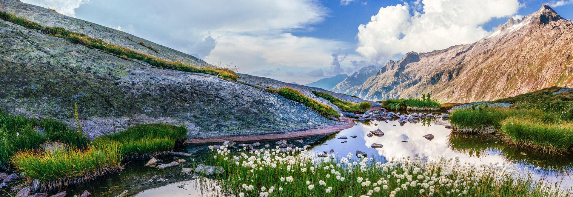 Étapes de la transaction immobiliere